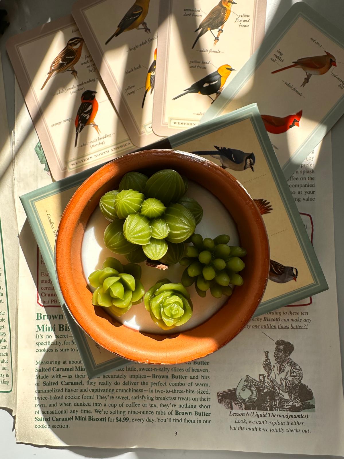 Succulent Candle